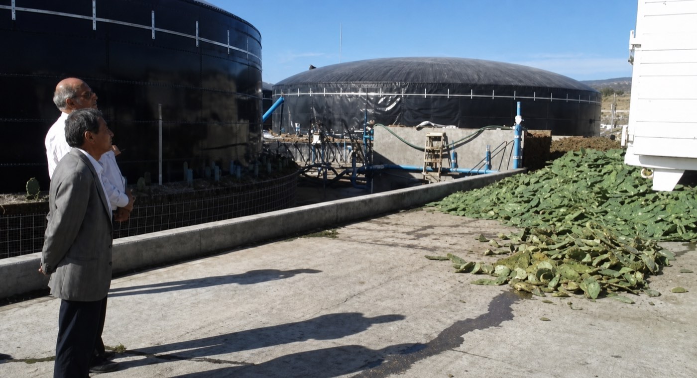 Producción de biogás a partir de nopal